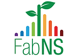 FabNS - color - transparente